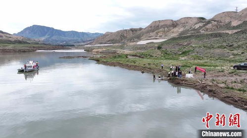 新疆頭屯河樓莊子水庫增殖放流5萬尾新疆裸重唇魚魚苗